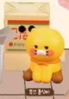부끄 춘식이(밀감)